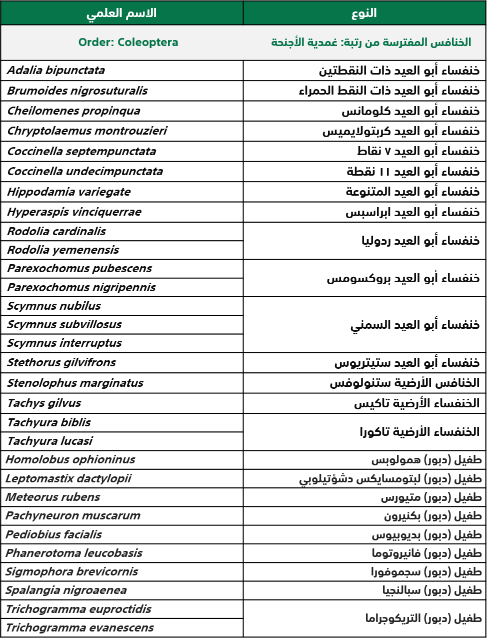 صورة 2.png
