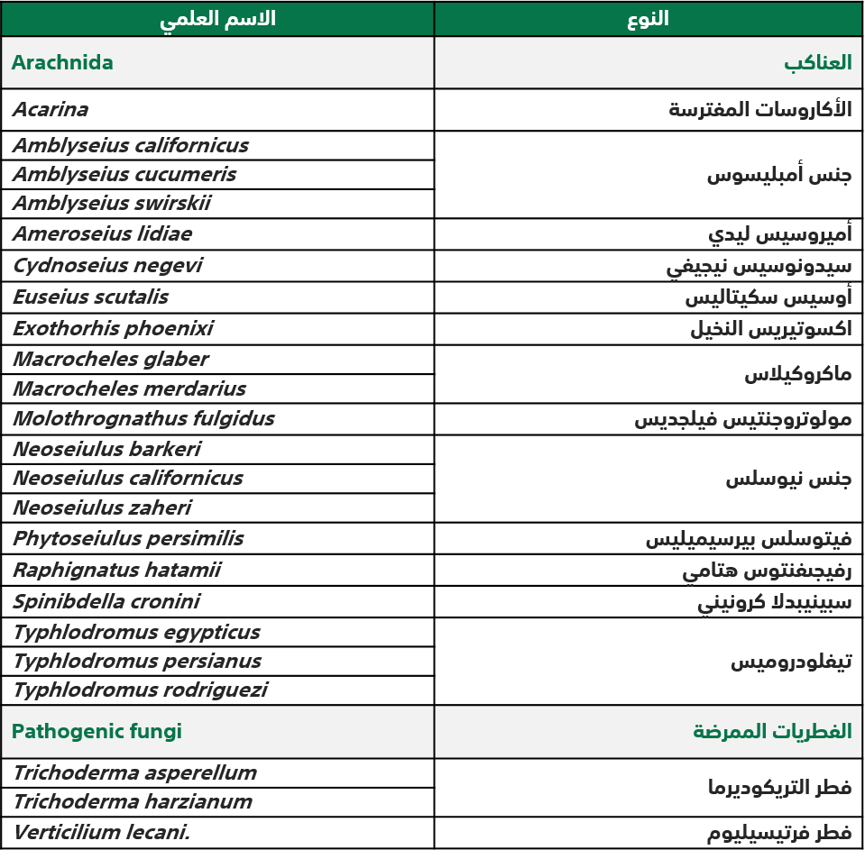 صورة 222.png